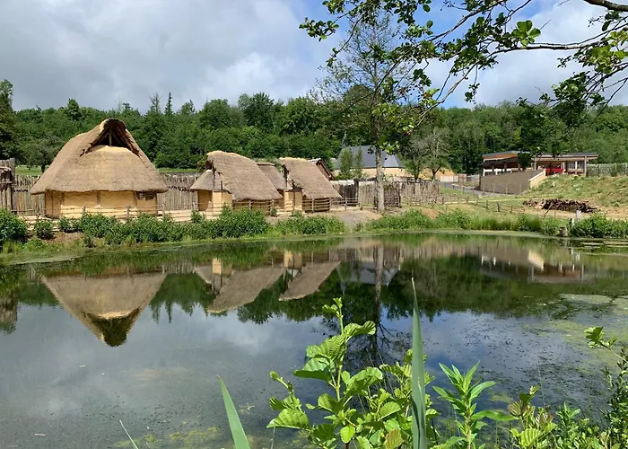 L'oree * Montcornet (Ardennes)